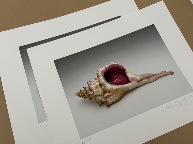 Giclee Prints of Reclining Shell #1 (Limited Edition of 75)