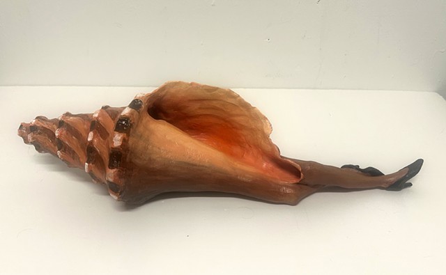 Reclining Shell #10