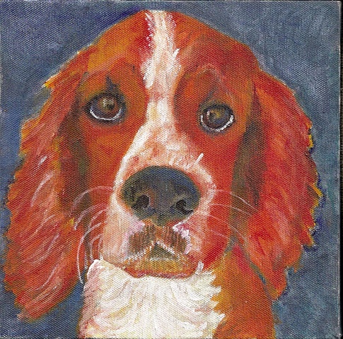 Pet Painting  of a Welsh Springer Spaniel