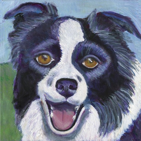 Border collie painting