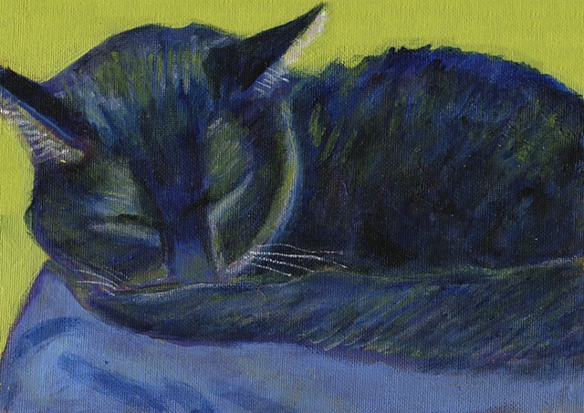 Sleeping black cat on a green background