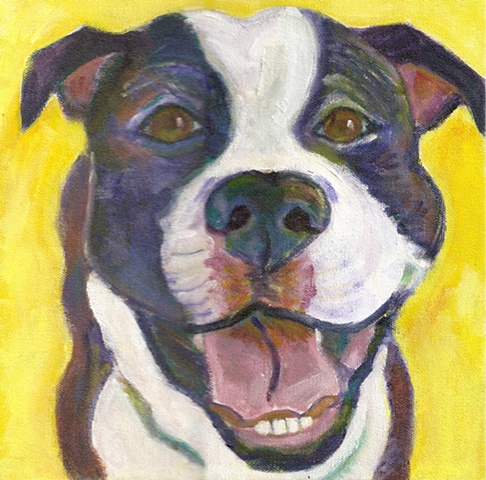 Pitbull pet painting 