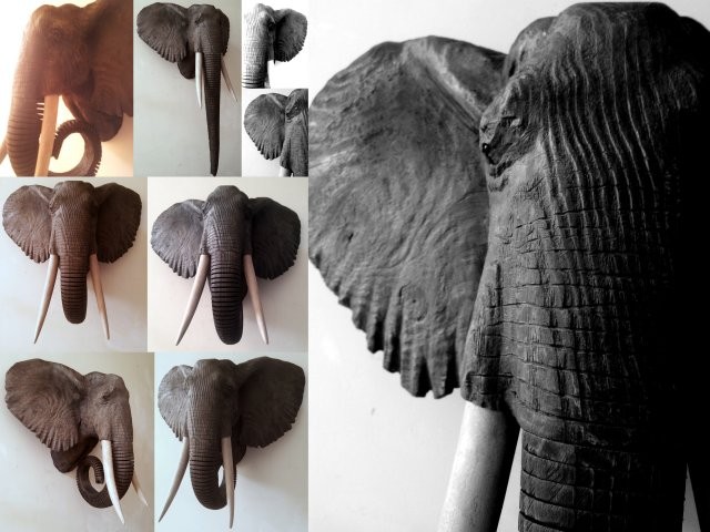 elephant collage