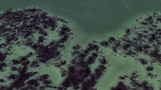 Ocean Displacement (around ¼ mile from Santa Cruz coast) 3