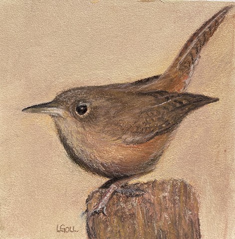 Simple and precious, this wren makes me smile.