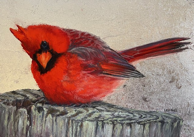 Curious Cardinal (On Silver)