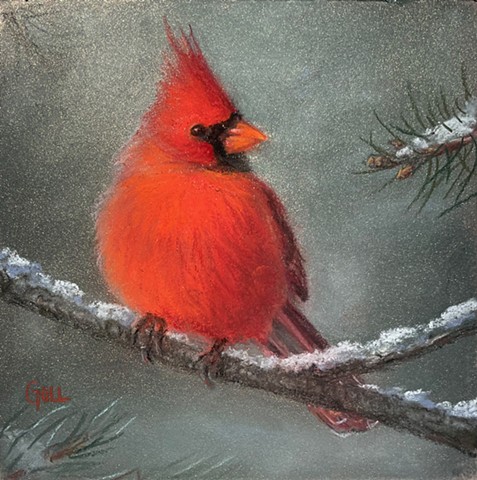Cardinal on a Snowy Branch