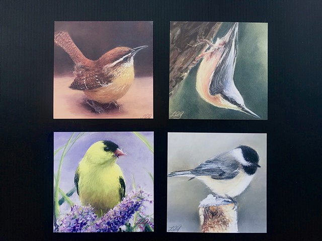 4 different 5x5 songbird designs notecards