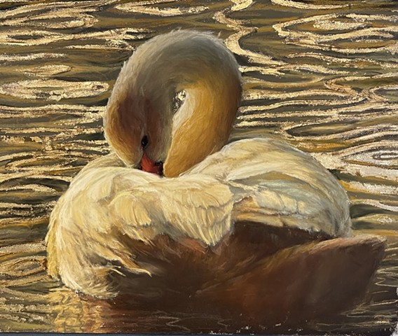 Golden Swan