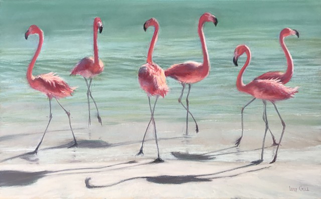 Six Flamingos