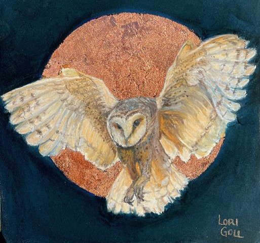 Barn Owl on Copper
