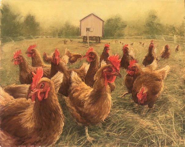 These free range hens reside at Georges Mill Farm in Lovettsville.