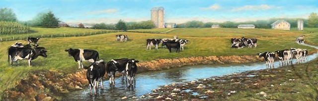 Dairy Cows in Elks Run