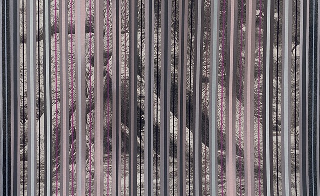 Neagari Matsu Pine Tree Raised Roots Pine 3, Kenroku-en Garden, Kanazawa, Japan