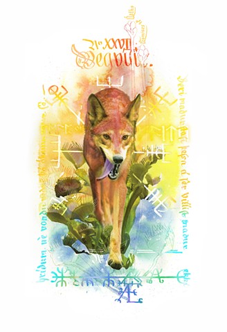 Red Wolf and Venus Flytrap