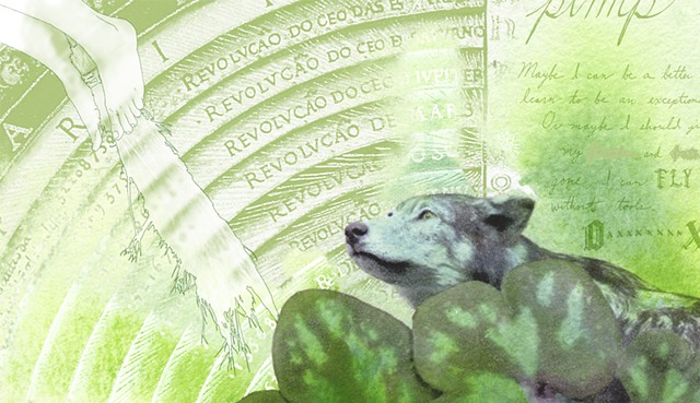 Wolf and Round-lobed hepatica (detail)
