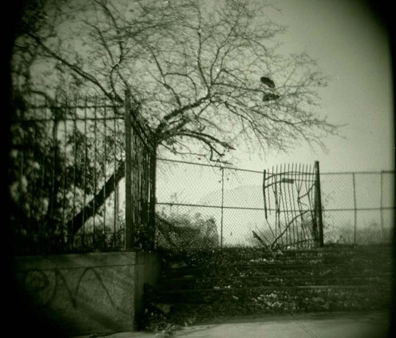 Taken with holga camera Spooky looking broken down fence and gate with laced gym shoes thrown over a tree before Home Depot was built by Lucy mueller