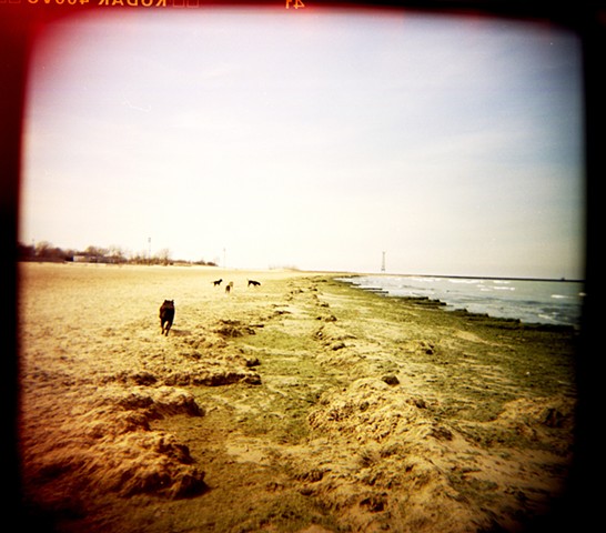 Shot using a holga camera on the apocalyptic looking dog beach at Montrose Avenue by lucy mueller