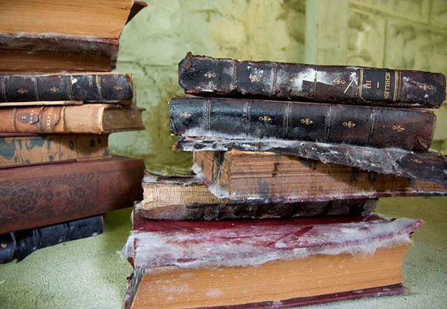 Old German books damaged in a flood grow mold photographed by Lucy Mueller