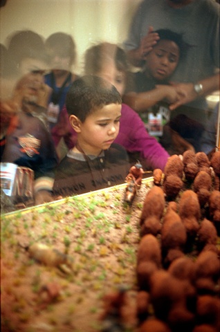 Boy ponders museum diorama looking slightly sad while another little girl looks fretful photographed by Lucy Mueller