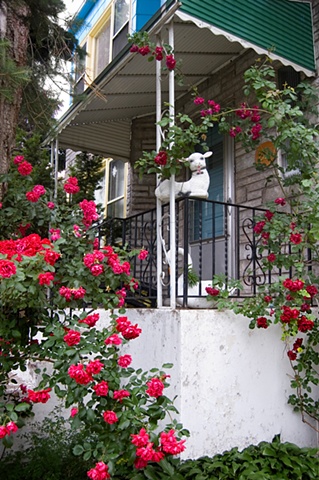 Lamb planter surrounded by rambling roses on the porch of a house photgraphed by lucy mueller