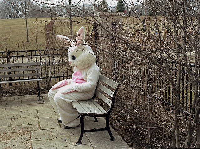 Photograph of person in Easter Bunny costume caught in a provate moment looking sad or hungover in a Chicago park photographed by lucy mueller
