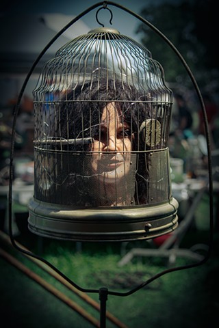 Bizarre Birdcage