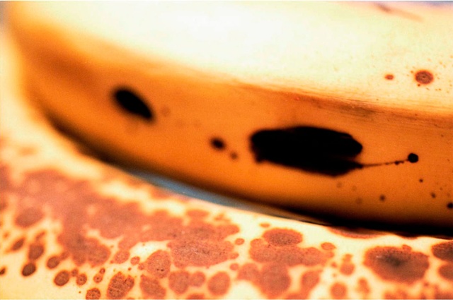 Over-ripe bananas with spots as seen close up  by Lucy mueller
