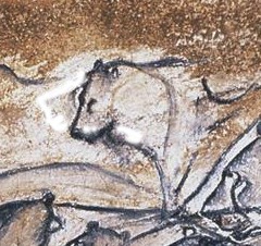 Lion drawing from Chauvet Caves animated