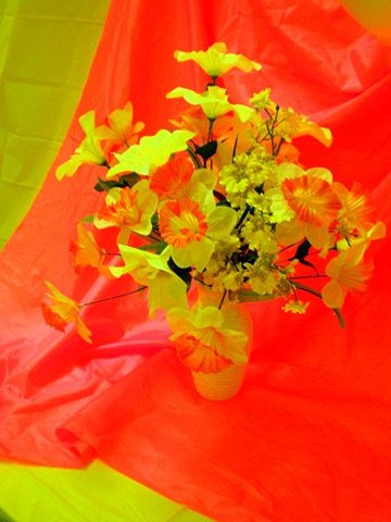 Can You Dig It? A Chromatic Series of Floral Arrangements (Orange)
