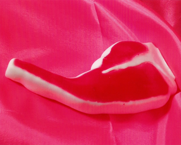 "Sense of Herself" (Plastic Steak)
1 out of over 750 different images
1995-present
