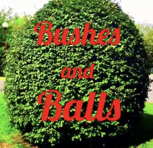 Bushes and Balls