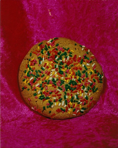 "Sense of Herself" (Sprinkle Cookie)
1 out of over 750 different images
1995-present