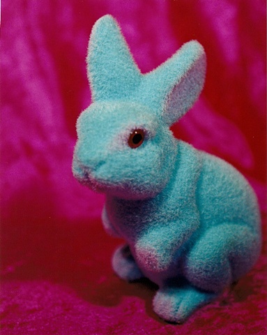 "Sense of Herself" (Blue Bunny)
1 out of over 750 different images
1995-present