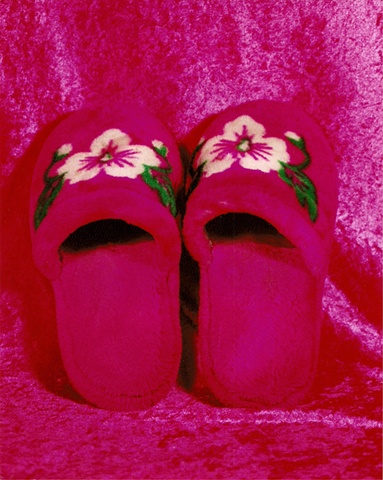"Sense of Herself" (Slippers)
1 out of over 750 different images
1995-present