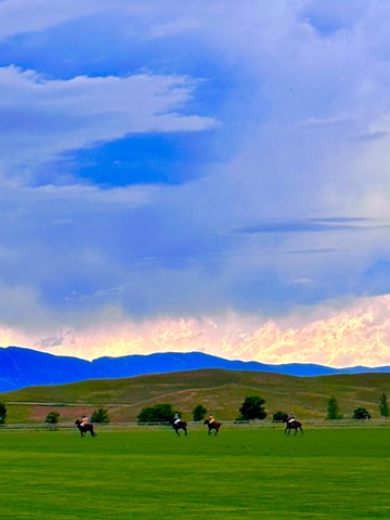 Wyoming (Polo)