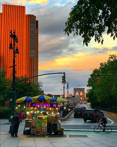 Halal Cart (Near Brooklyn Bridge, City Hall Park, NYC)