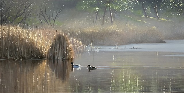 Winter Pond, Mallards