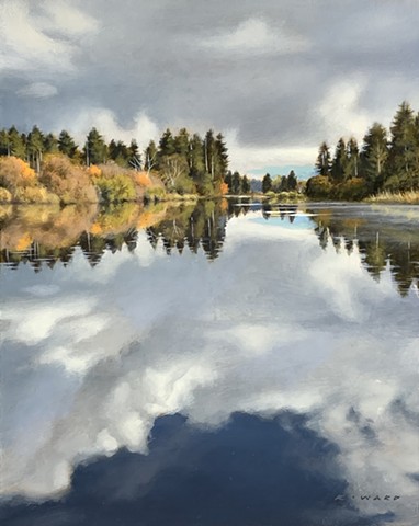 Riverbank Reflections 