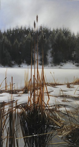 Frozen Over, Cottle Lake