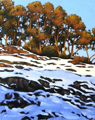 Arbutus Grove in Winter Light