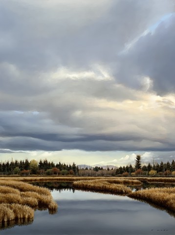 Autumn Marsh Colours 