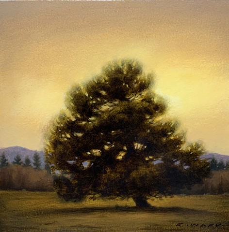 September Pine (sold)
