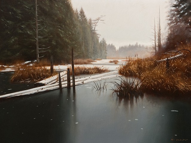 Beaver Pond in December