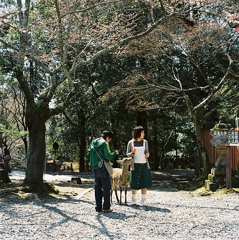 Young Couple With Deer, Nara 2005
