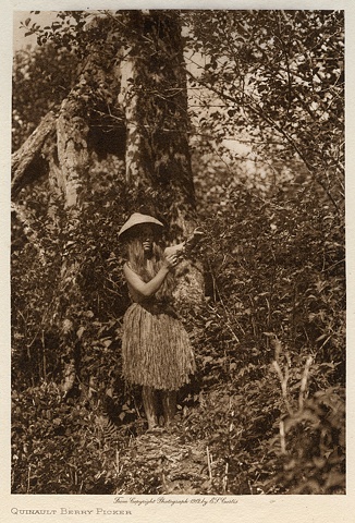 Quinault Berry Picker
