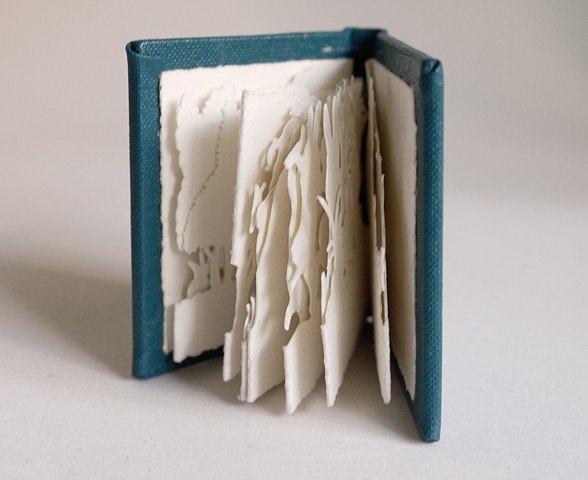 Miniature artist books