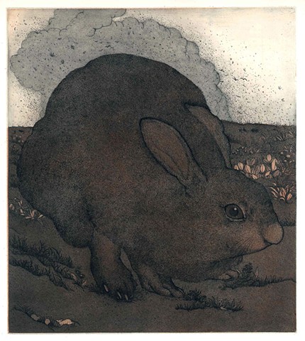 Hare rabbit etching aquatint