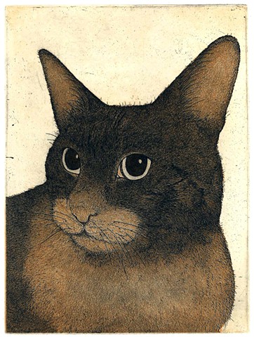etching and aquatint cat