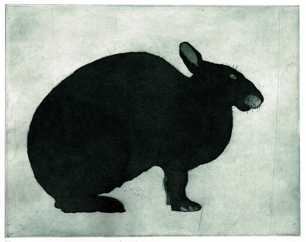 Amami rabbit